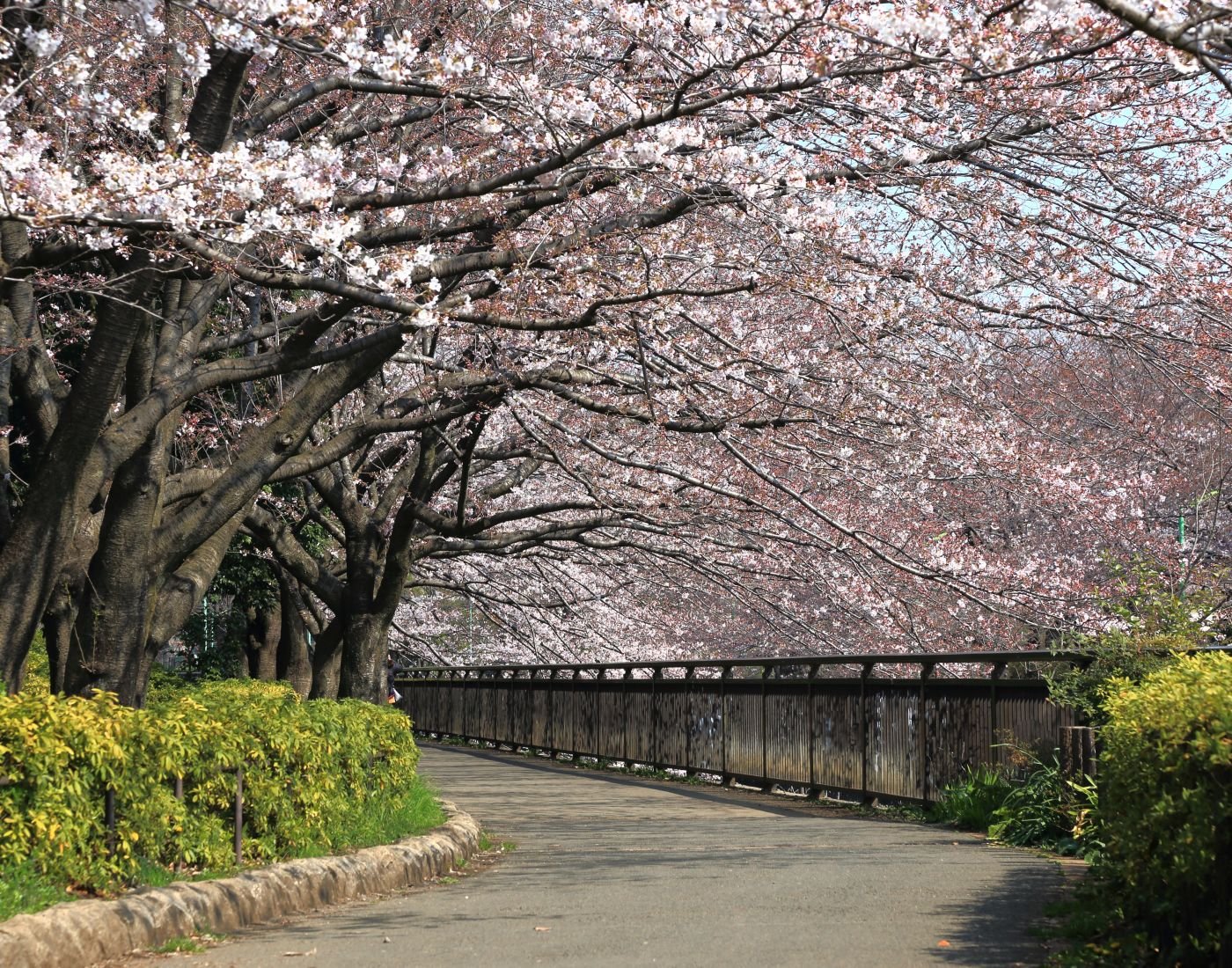 🌳 도립 소시가야 공원 (토리츠 소시가야 코엔)